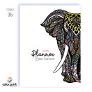 Capas Personalizadas