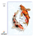 Capas Personalizadas