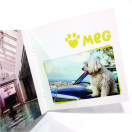 Catálogo de Fotos